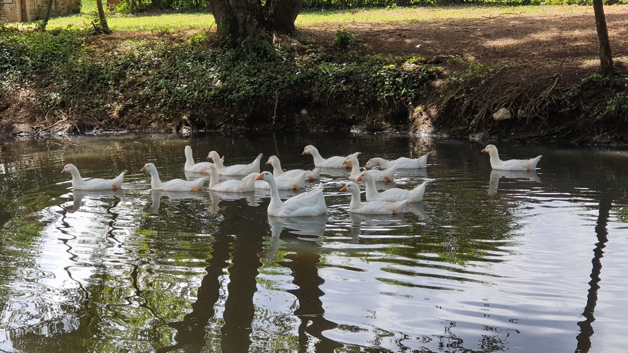Photo of Outdoor in Beaumont-Louestault