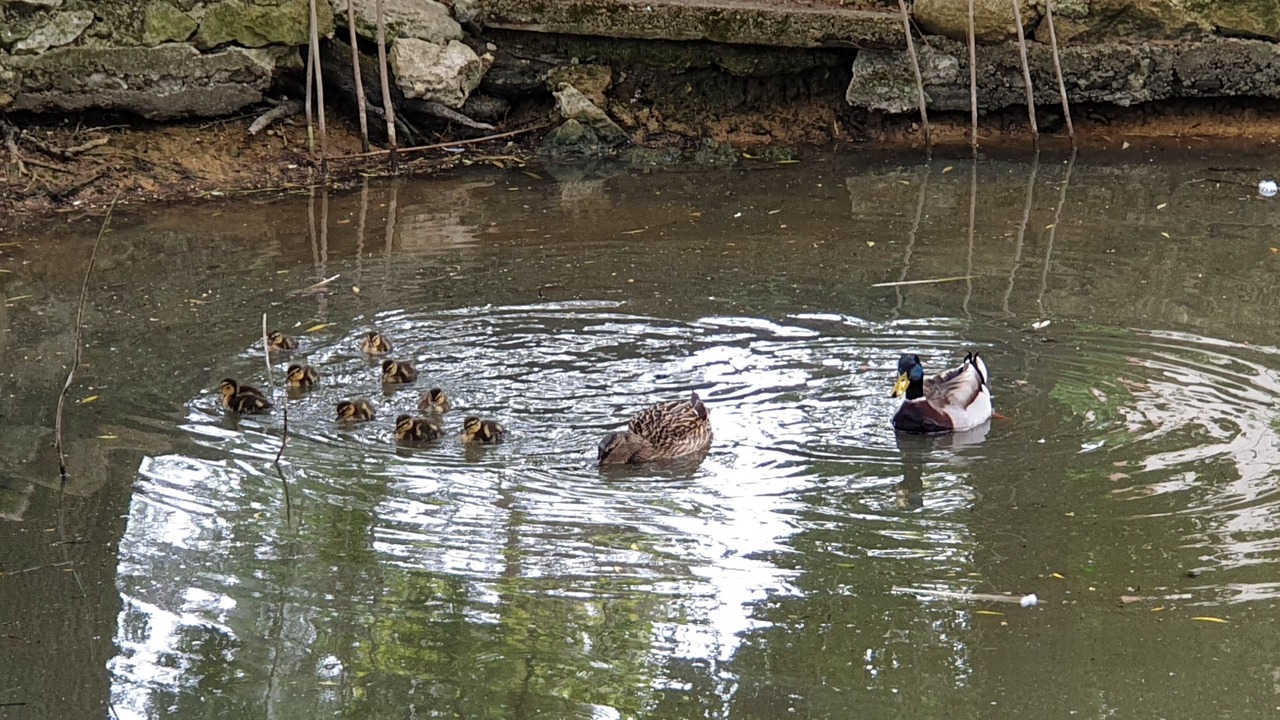 Photo of Others in Beaumont-Louestault