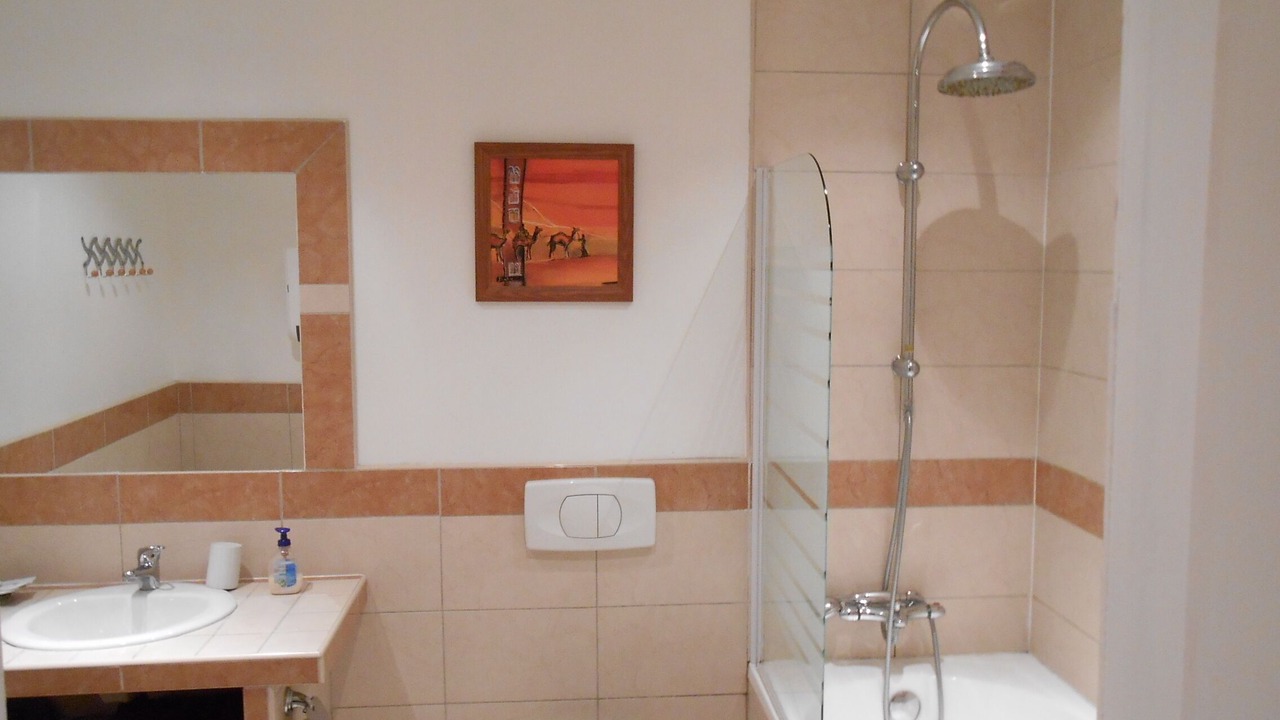 Photo of Bathroom in Laverune