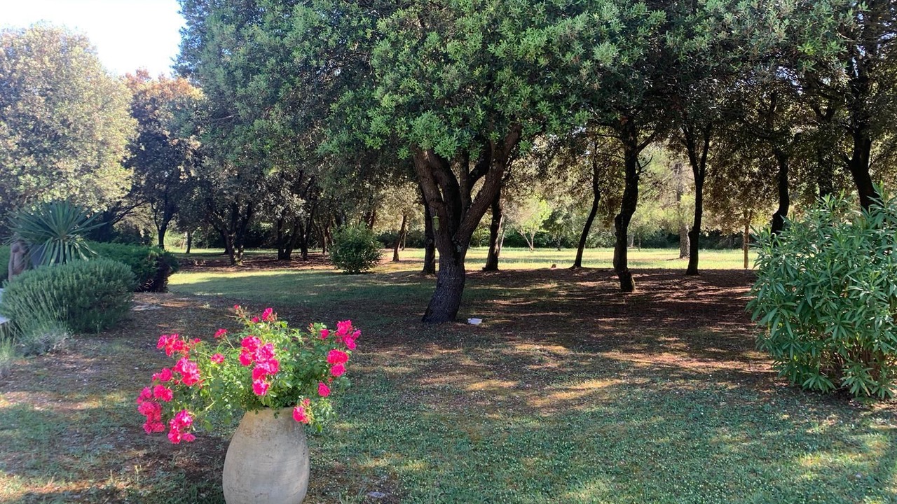 Photo of Outdoor in Ventenac-Cabardes