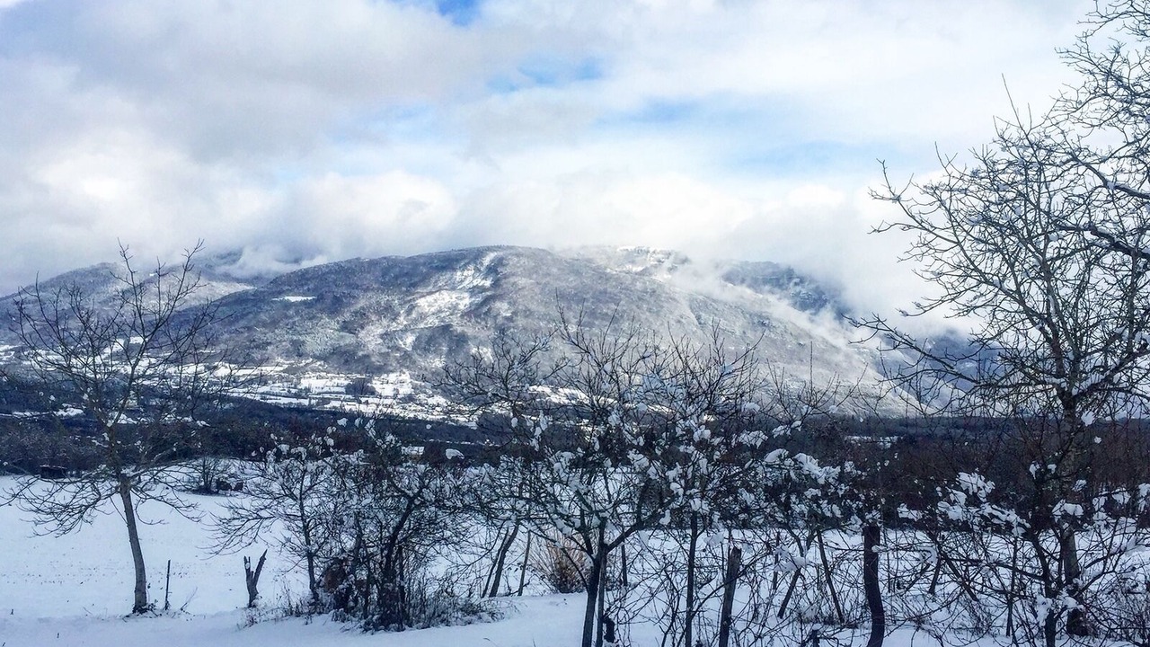 Photo of Outdoor in Saint-Martin-de-Bavel
