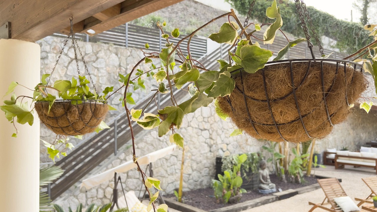 Photo of Patio Balcony in Olivella