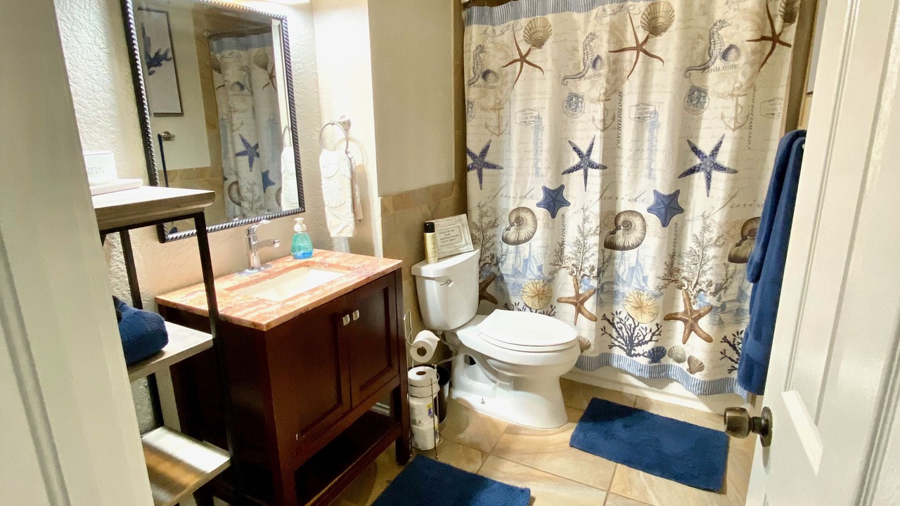 Photo of Bathroom in Safety Harbor