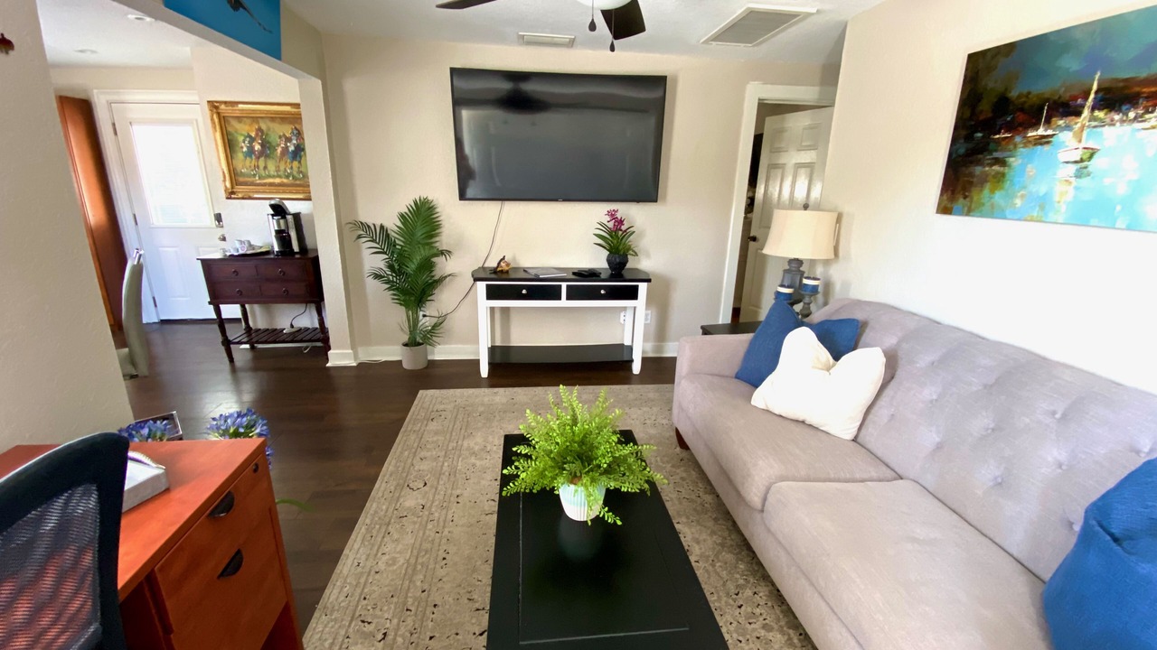 Photo of Livingroom in Safety Harbor