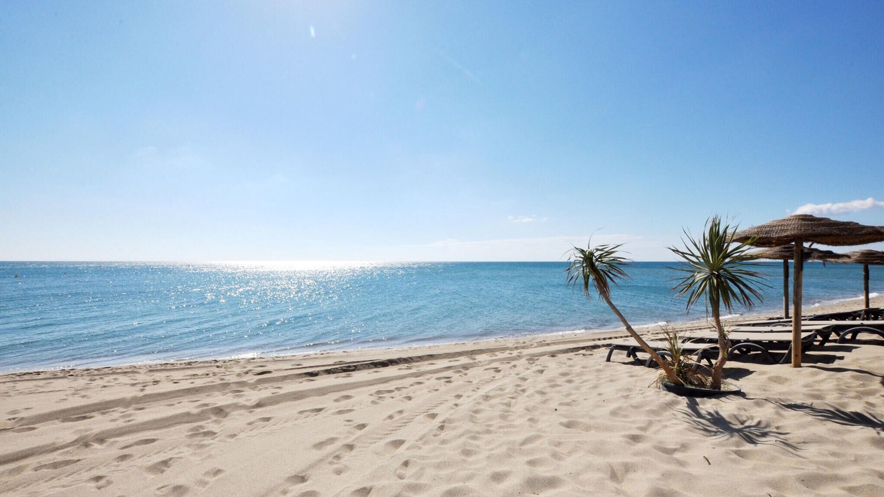 Photo of Others in Montauriol