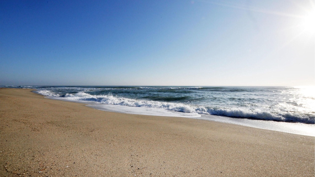 Photo of Others in Montauriol