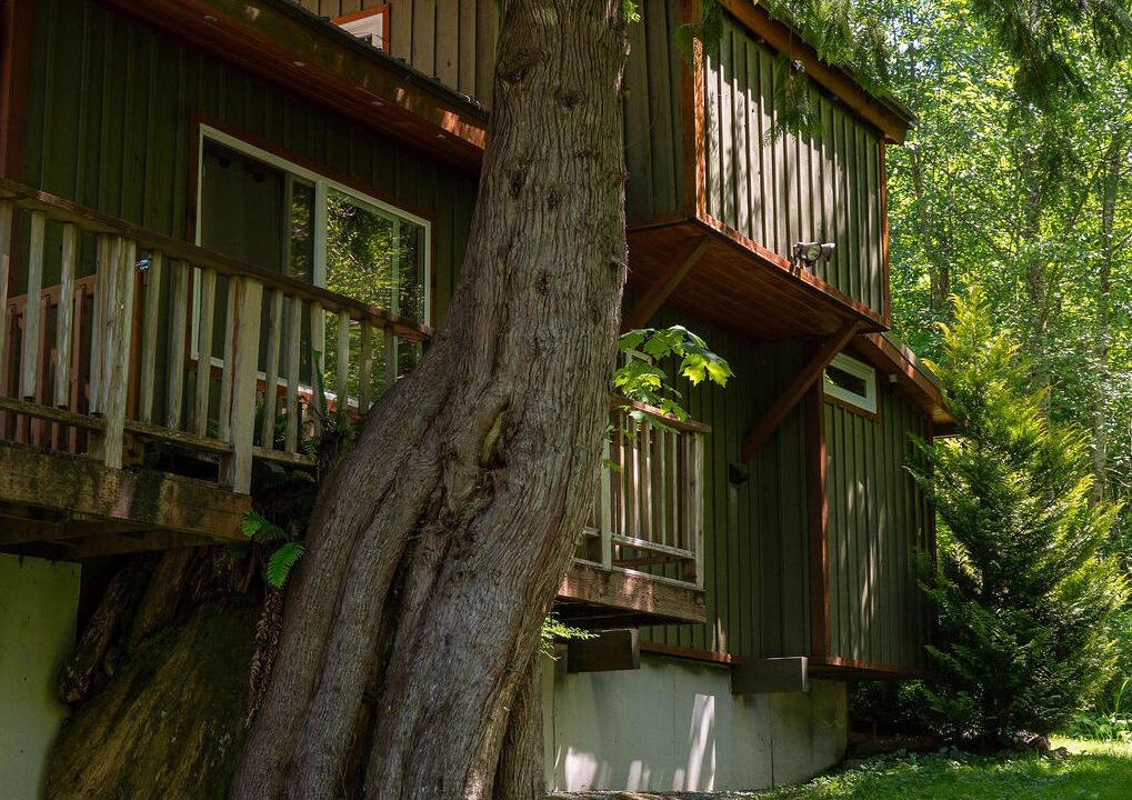 Photo of Outdoor in Gold Bar