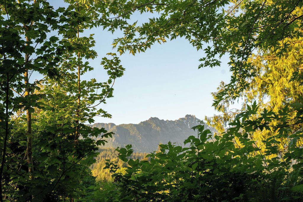 Photo of Others in Gold Bar