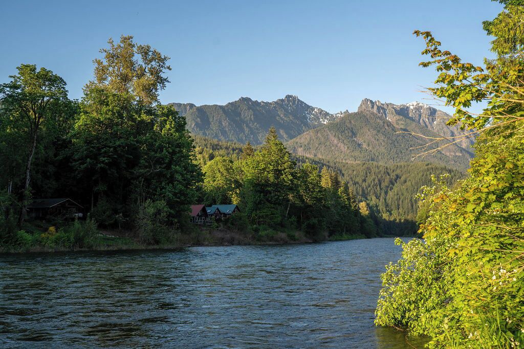 Photo of Others in Gold Bar