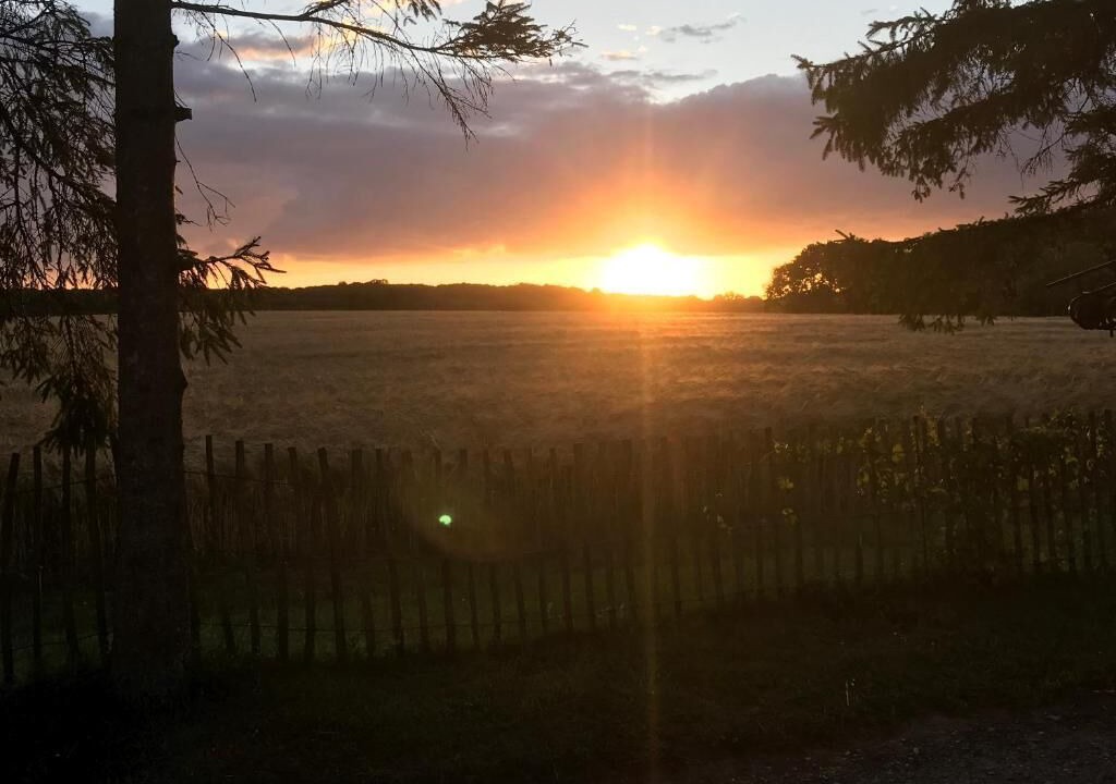 Photo of Outdoor in Tureby