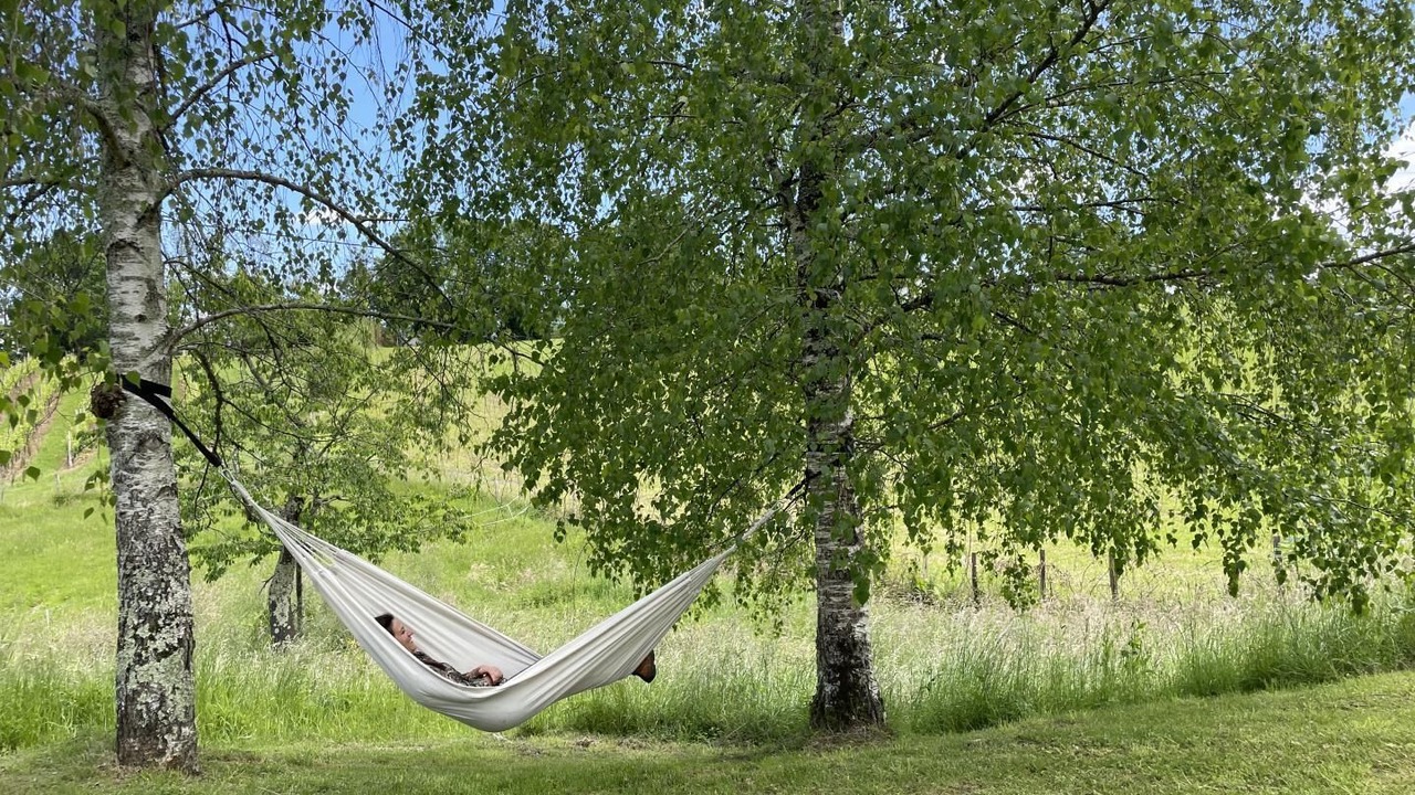 Photo of Outdoor in Lasseubetat