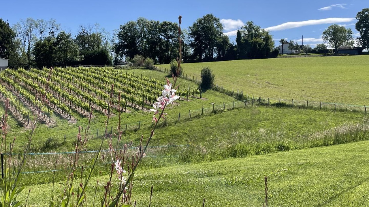 Photo of Outdoor in Lasseubetat