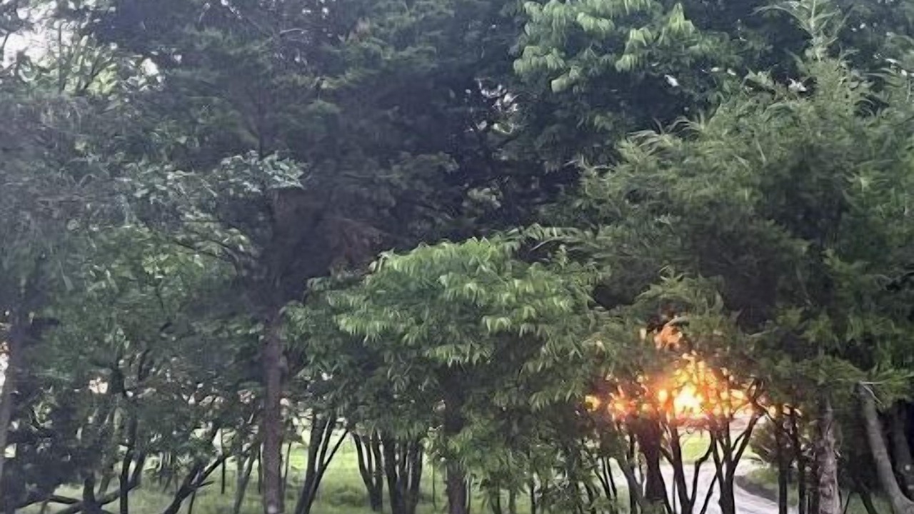 Photo of Outdoor in Westminster