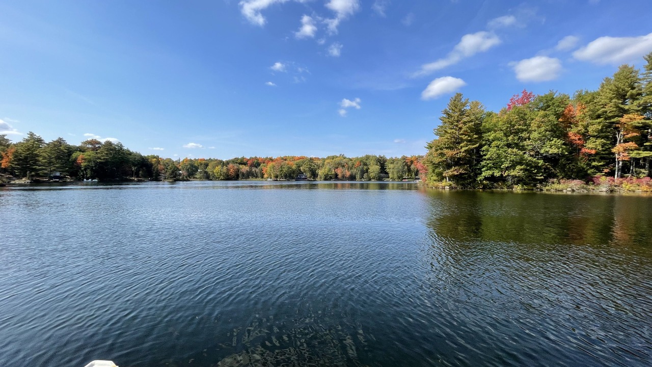 Photo of Outdoor in Coboconk