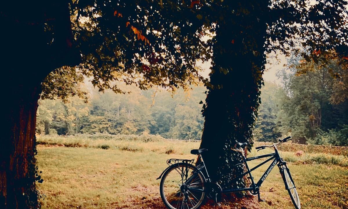 Photo of Others in La Tretoire