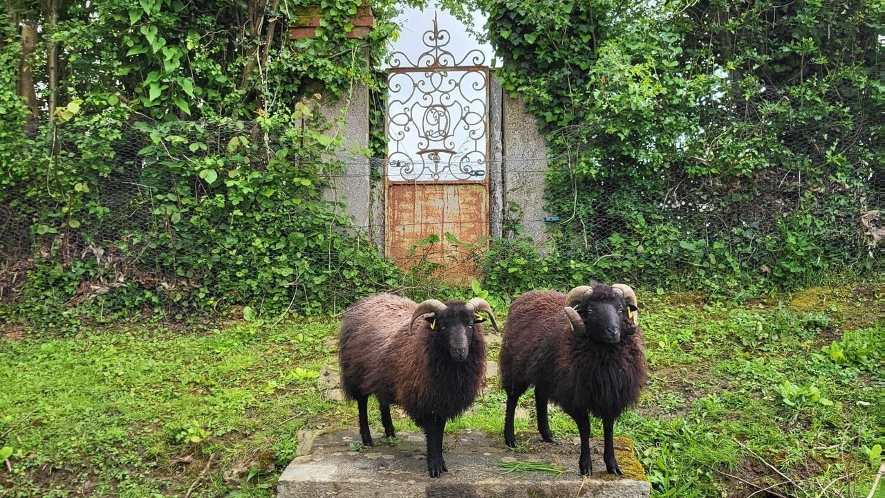 Photo of Outdoor in La Tretoire