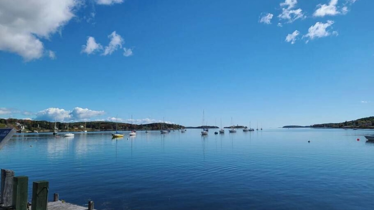 Photo of Others in Western Shore