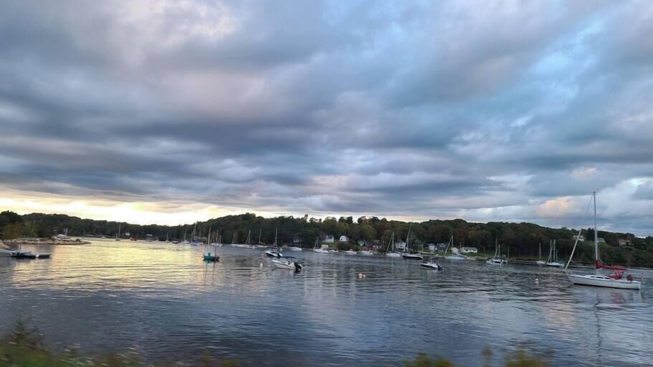 Photo of Others in Western Shore