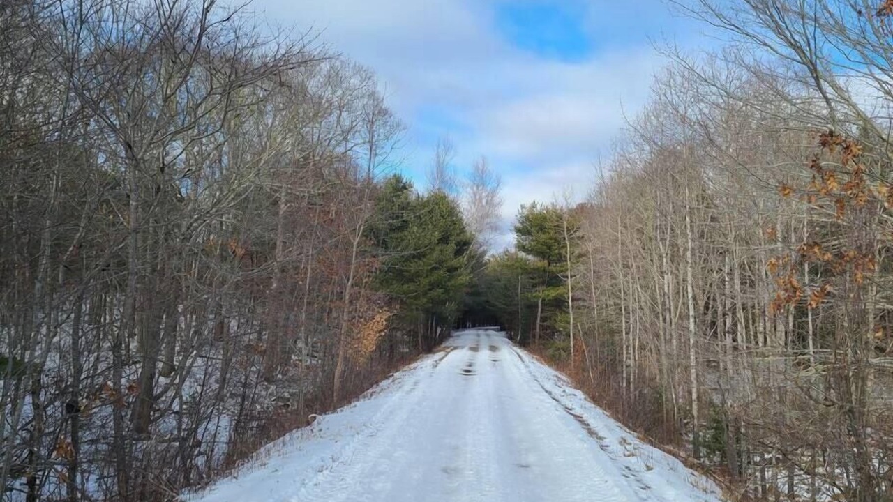 Photo of Others in Western Shore