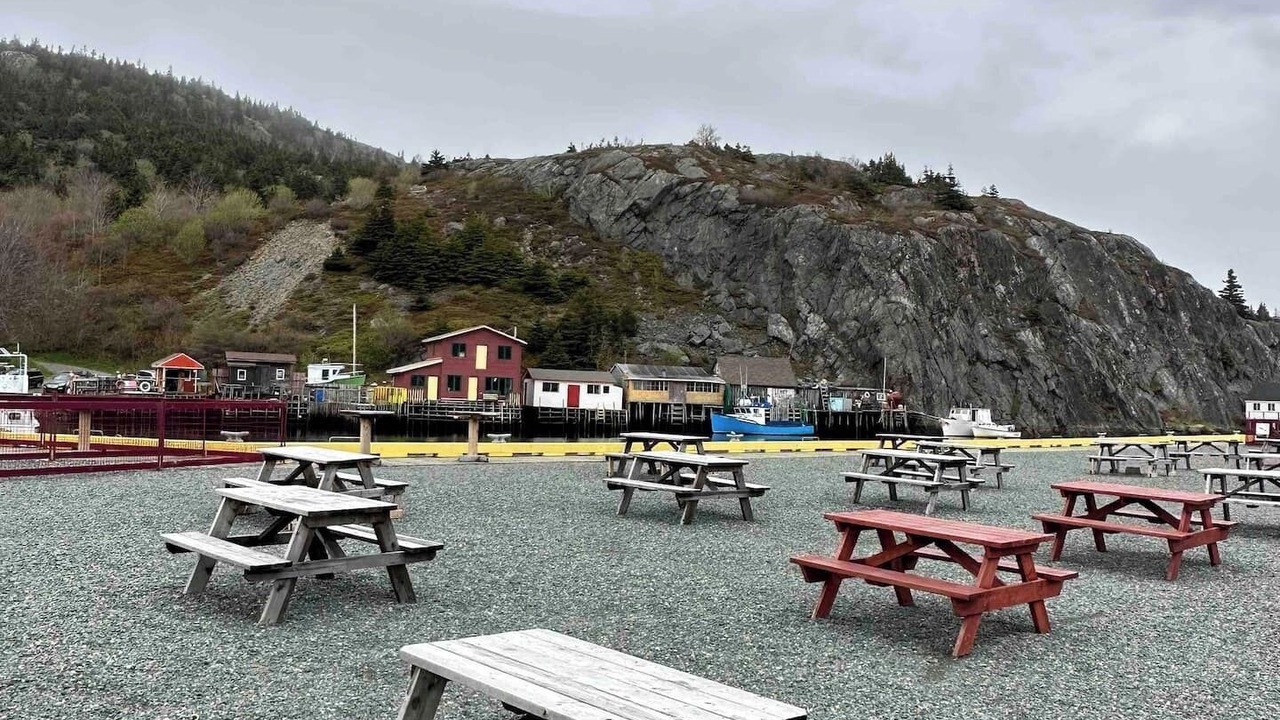 Photo of Others in Quidi Vidi