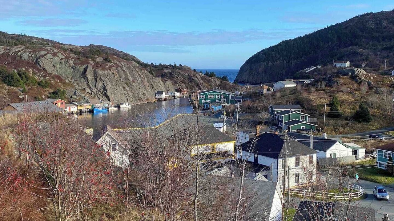 Photo of Others in Quidi Vidi