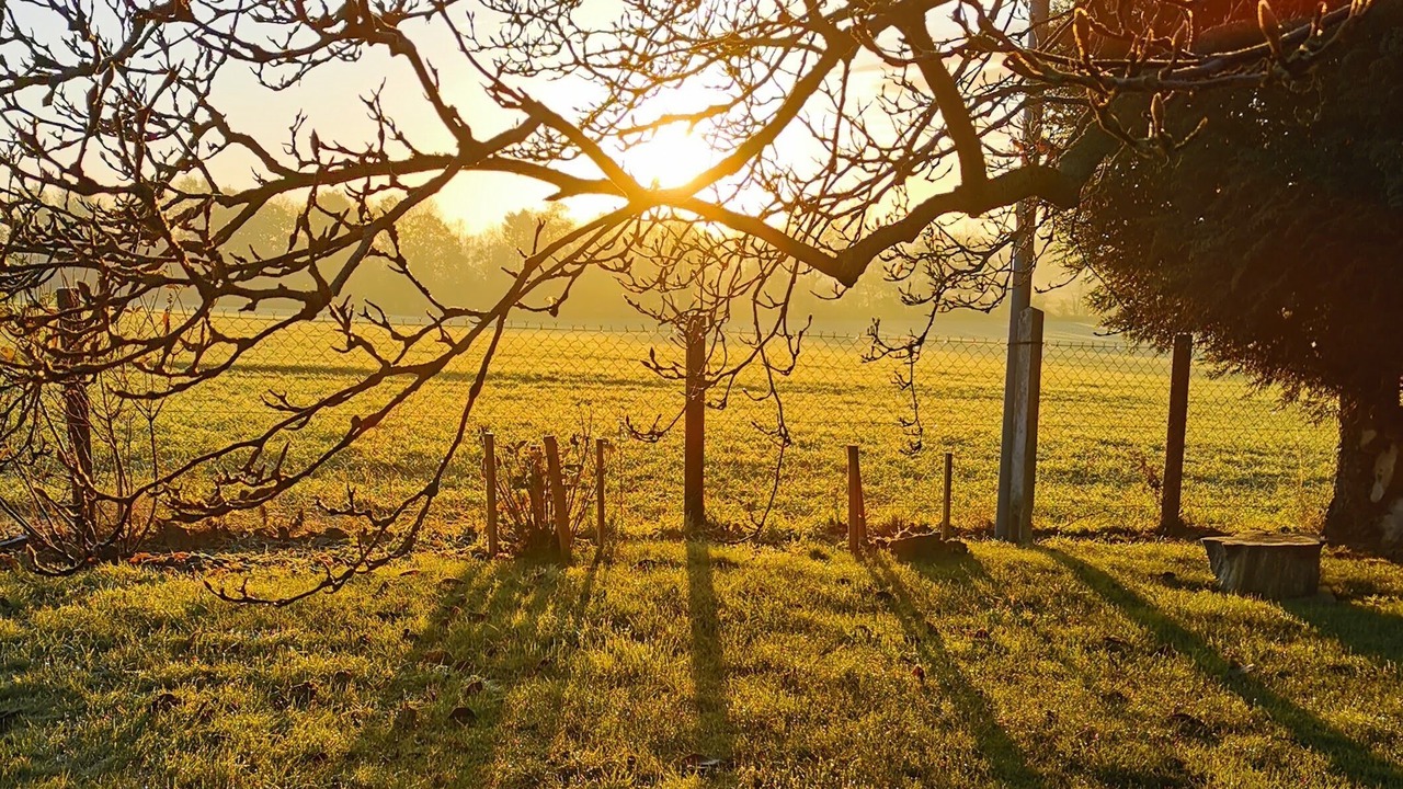 Photo of Others in Lieurey