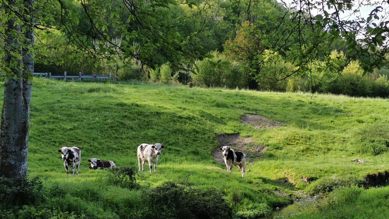 Photo of Others in Lieurey