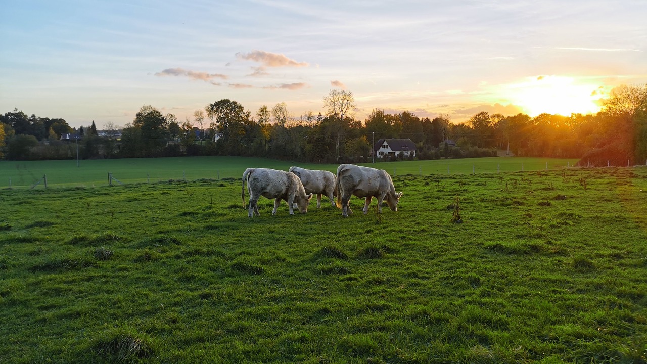 Photo of Others in Lieurey