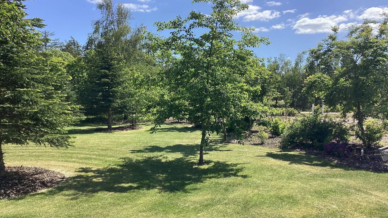 Photo of Outdoor in Hojslev