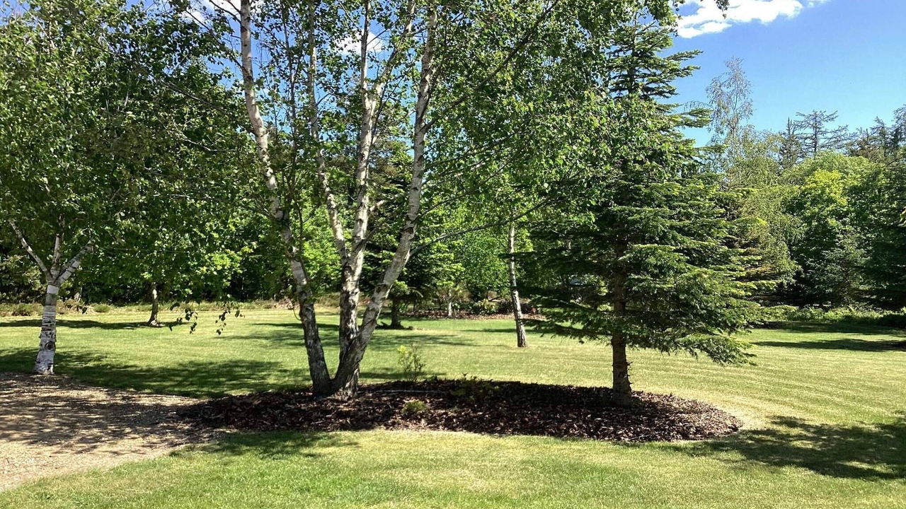 Photo of Outdoor in Hojslev