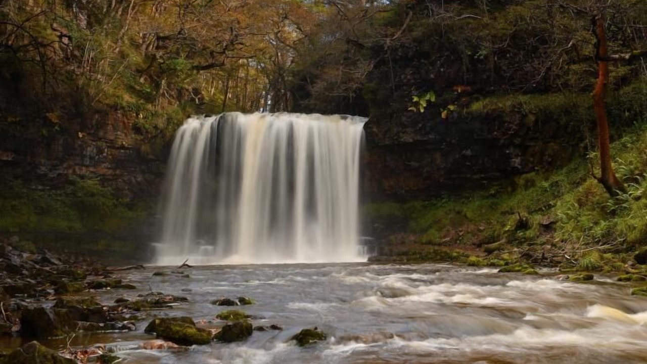 Photo of Others in Merthyr Tydfil