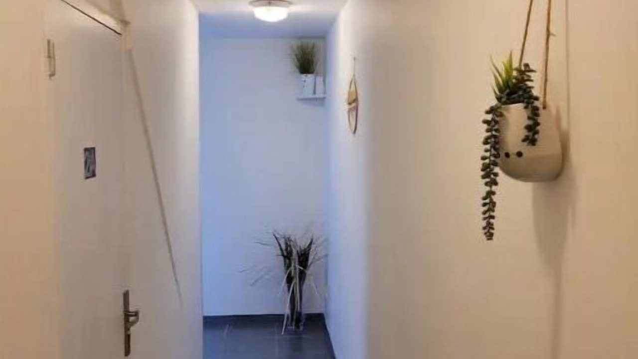 Photo of Others in Haveluy