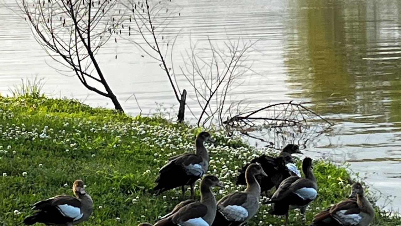 Photo of Others in Willis