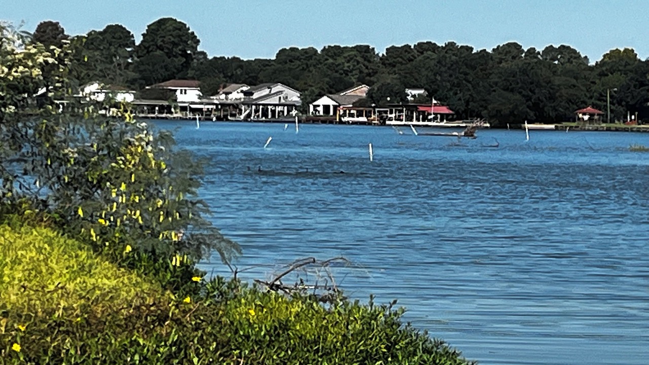 Photo of Others in Willis