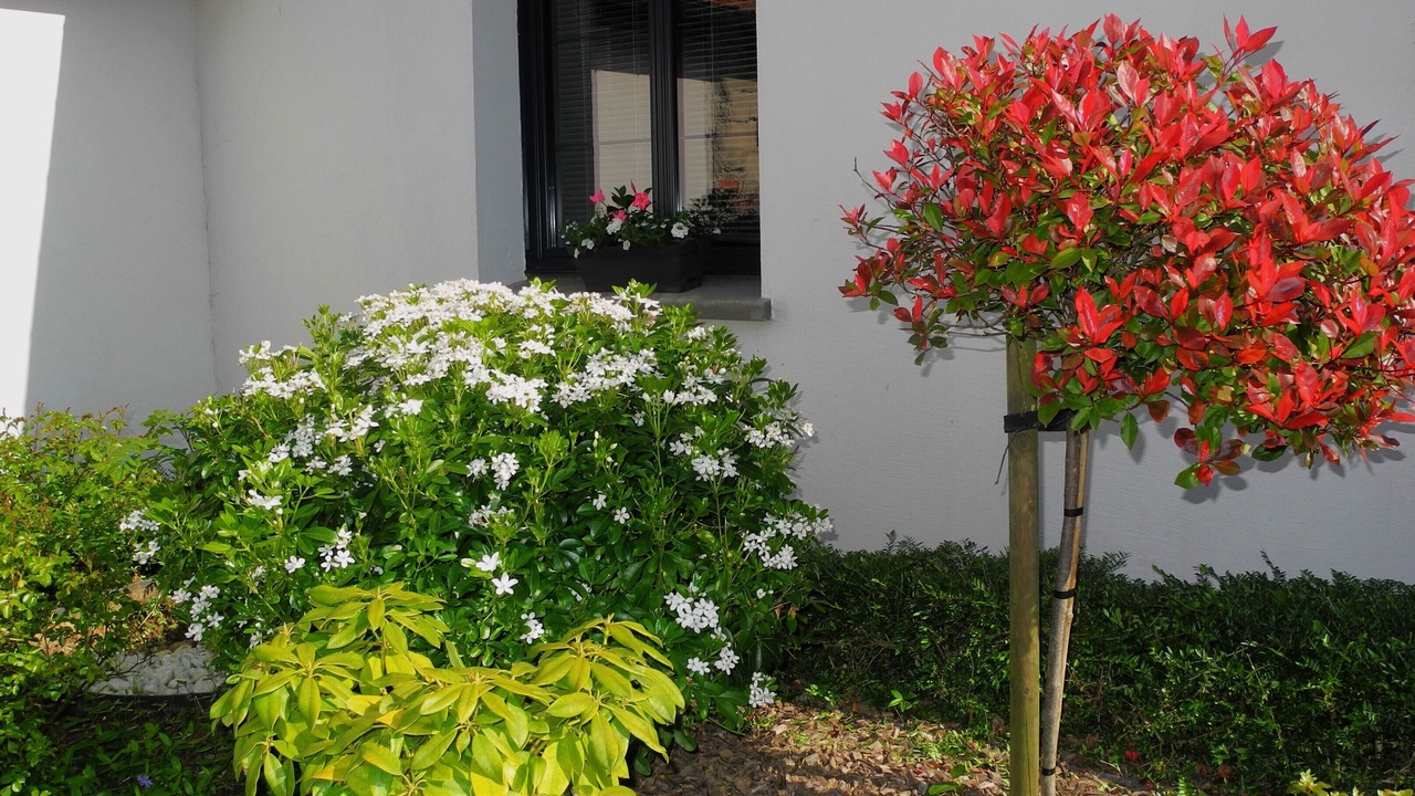 Photo of Outdoor in Widehem