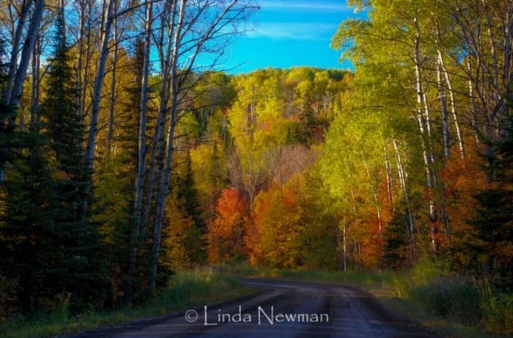 Photo of Outdoor in Hovland
