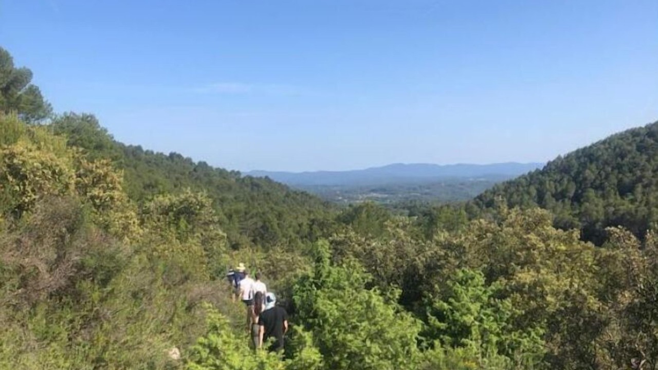 Photo of Others in Flayosc