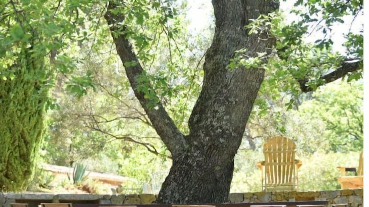 Photo of Outdoor in Flayosc