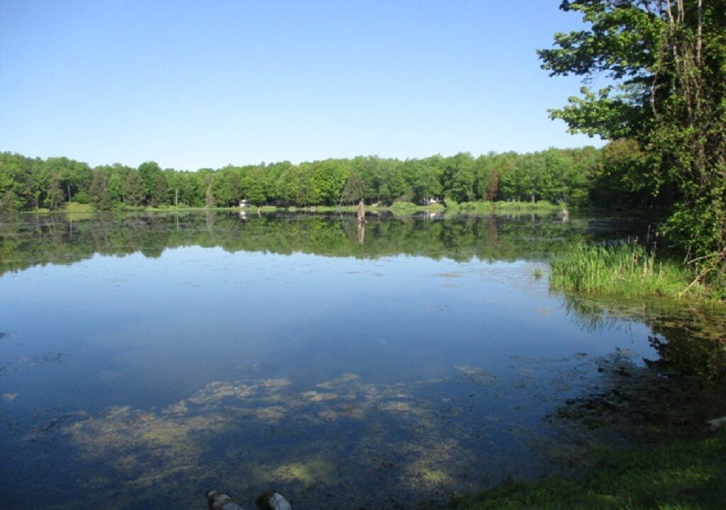 Photo of Outdoor in Bliss