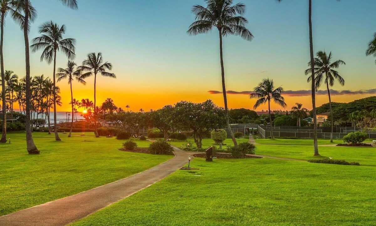 Photo of Others in Poipu