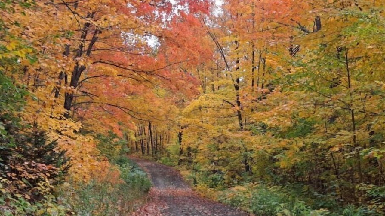 Photo of Outdoor in Hovland