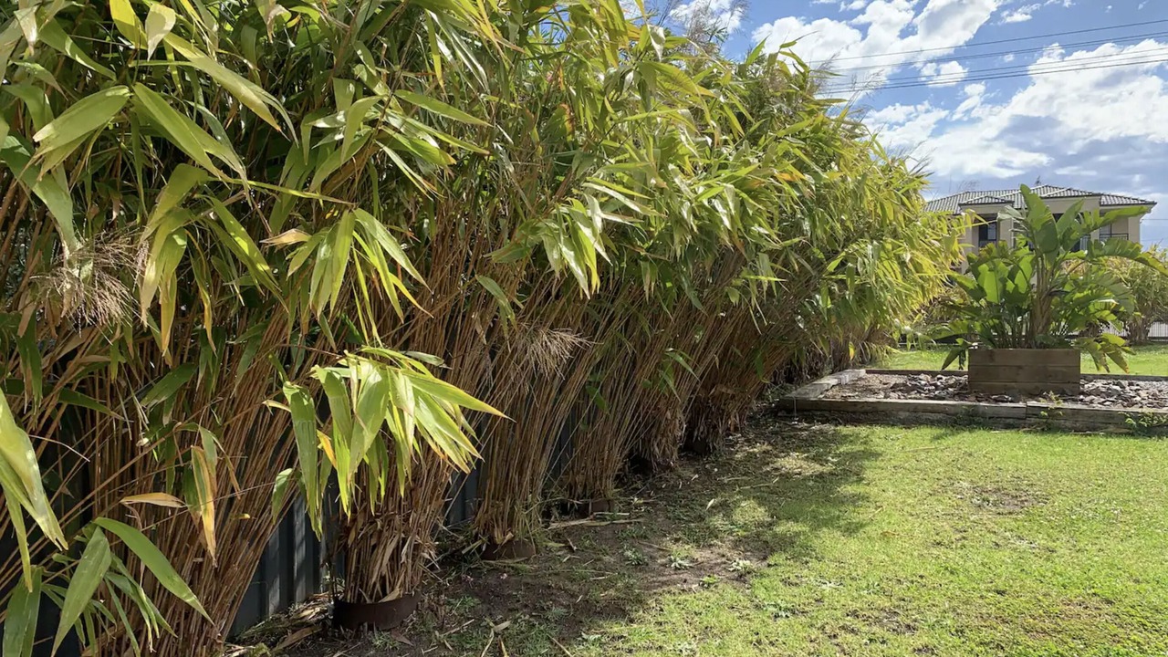 Photo of Outdoor in Wyongah