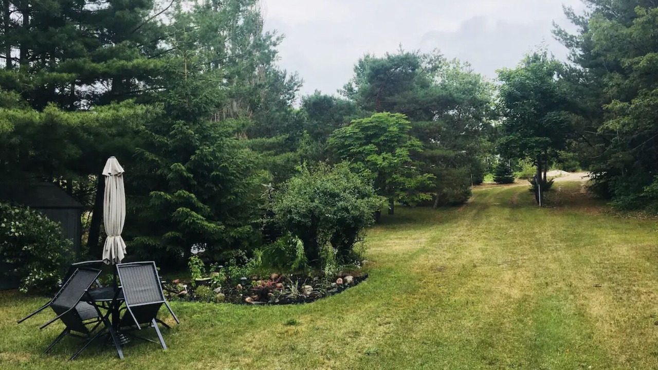 Photo of Outdoor in Tiny