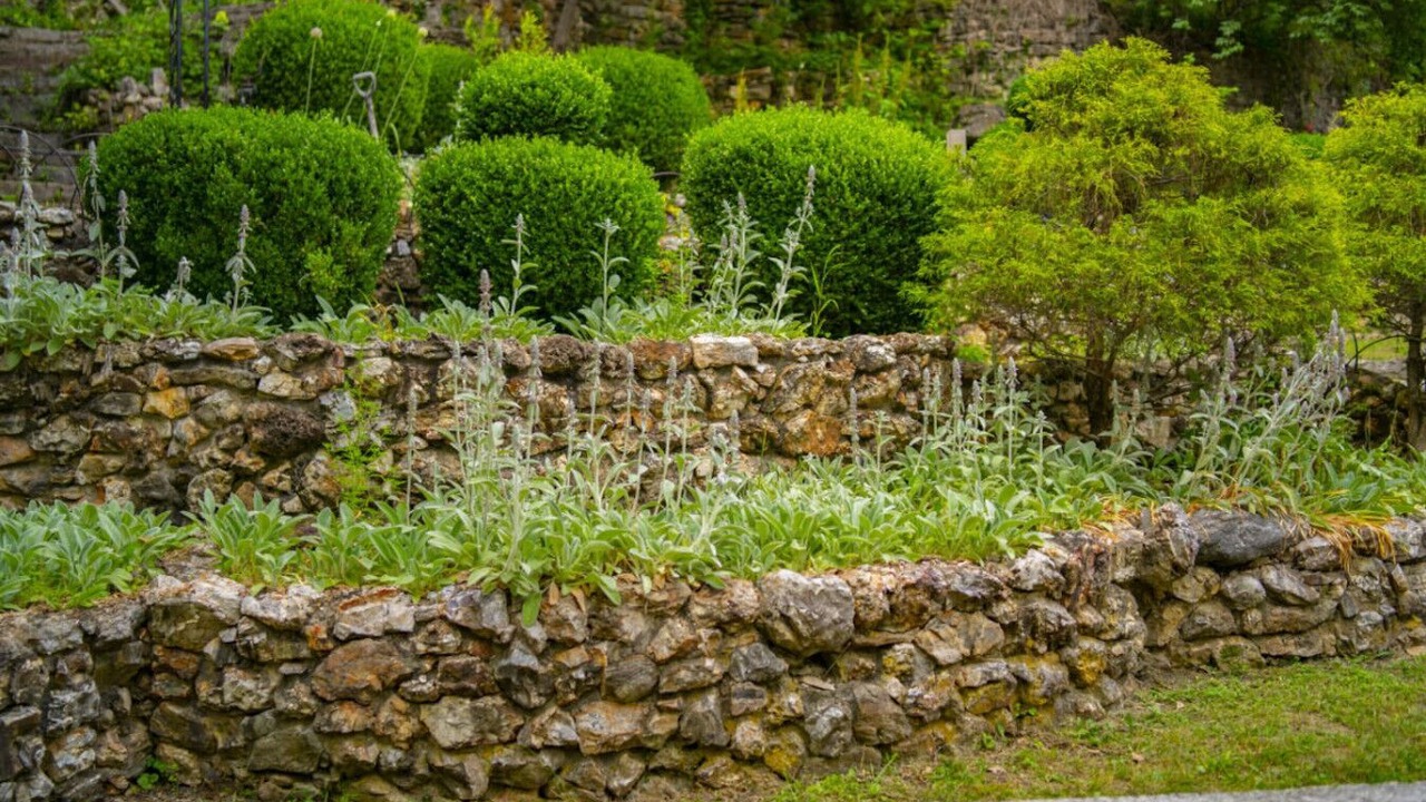 Photo of Outdoor in Eureka Springs Historic District
