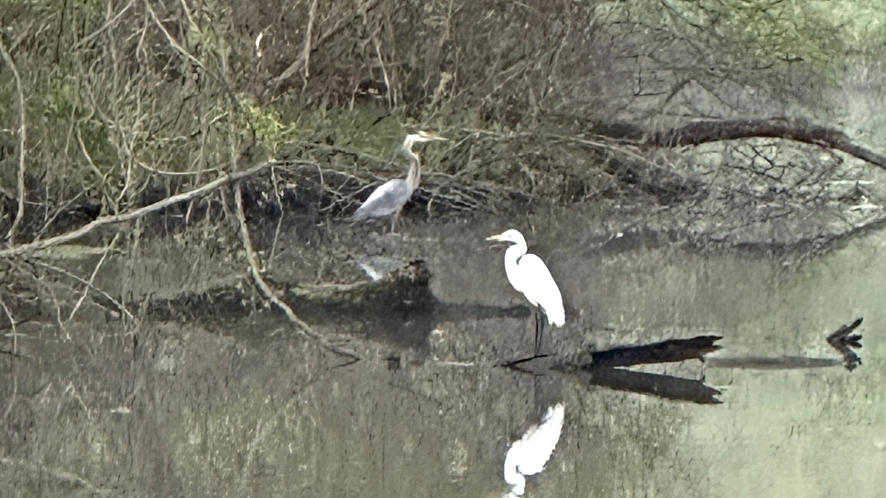 Photo of Others in Oskaloosa