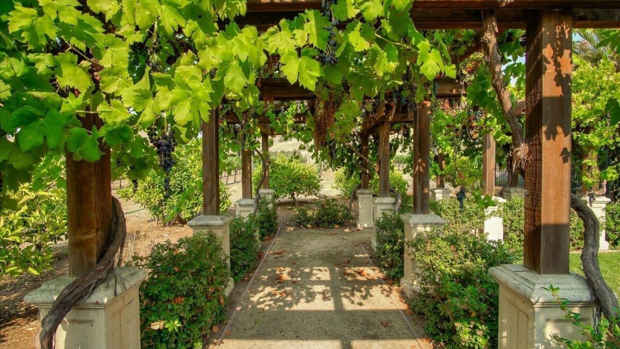 Photo of Outdoor in Hollister