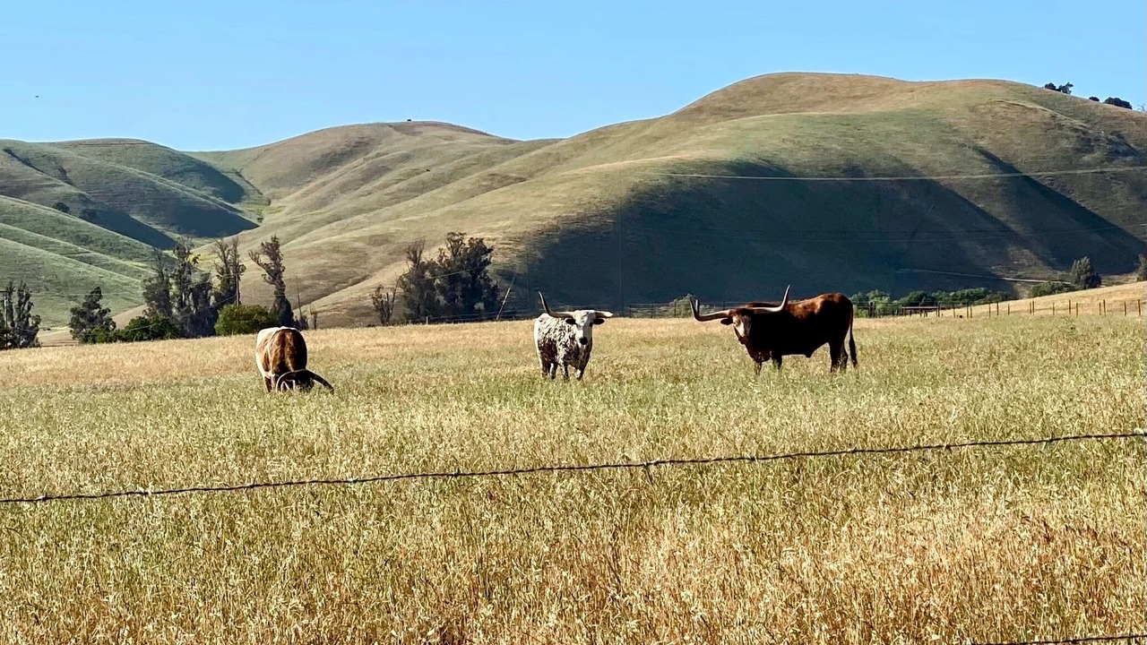 Photo of Others in Hollister