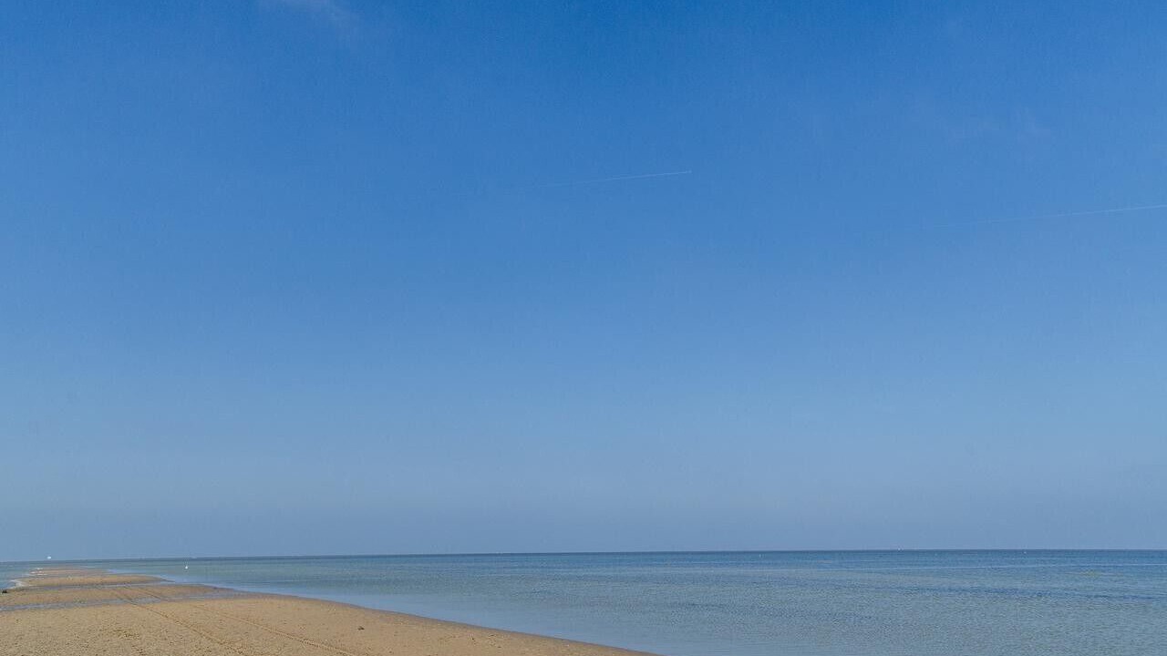 Photo of Others in Oye-Plage