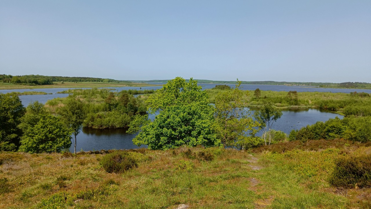 Photo of Others in Silkeborg