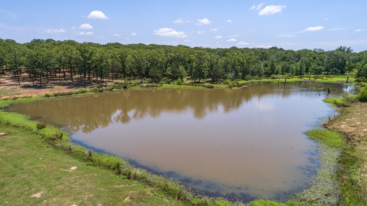 Photo of Others in Van Zandt County